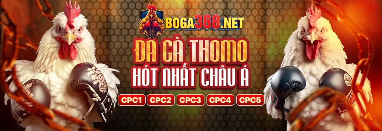Bộ sưu tập các trò chơi đa dạng tại hz888 login: cá cược thể thao, casino, slot game, bắn cá, đá gà